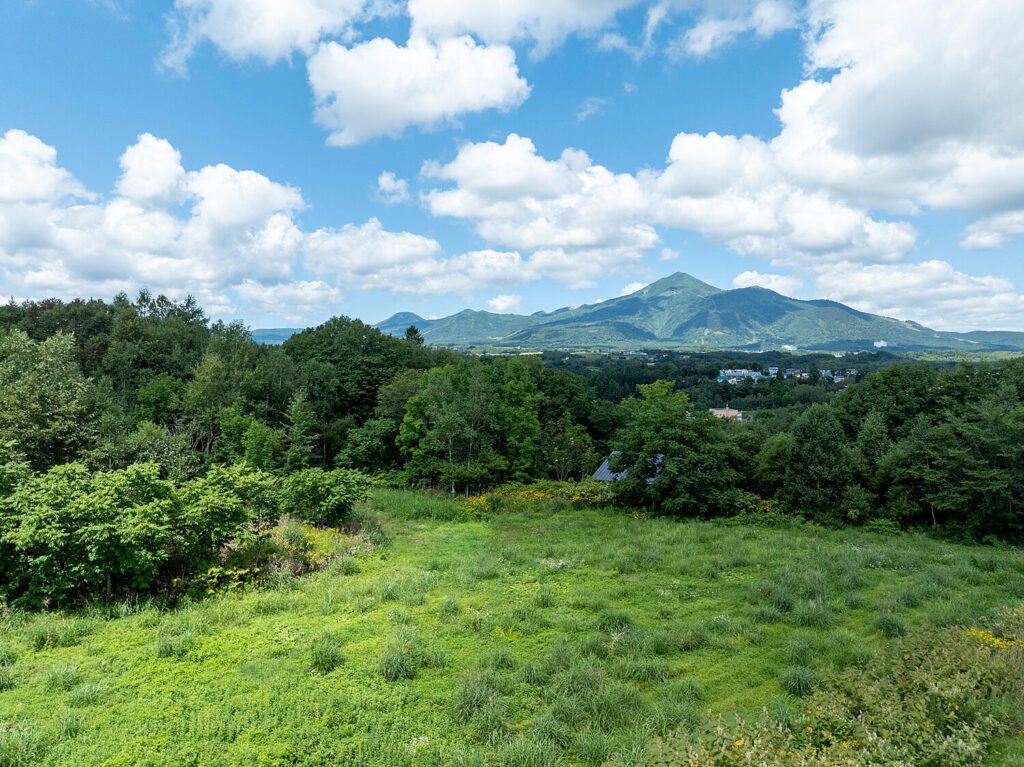 Niseko Views Land