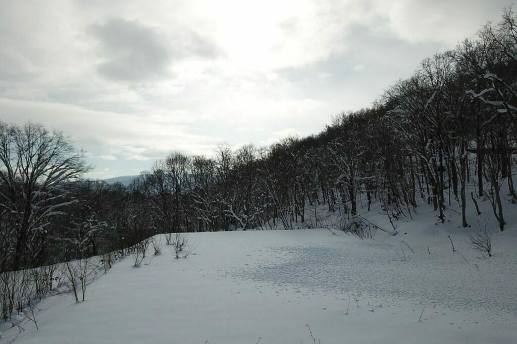 Onsen Development Land Moiwa