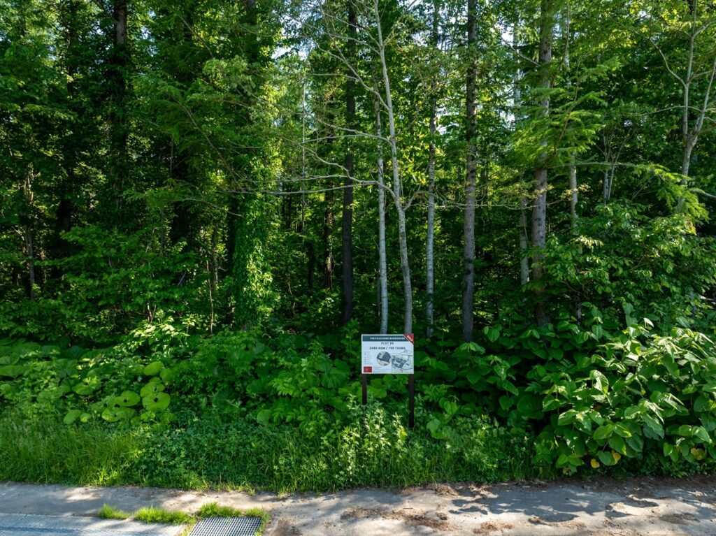 Ginto Hirafu Plot 85