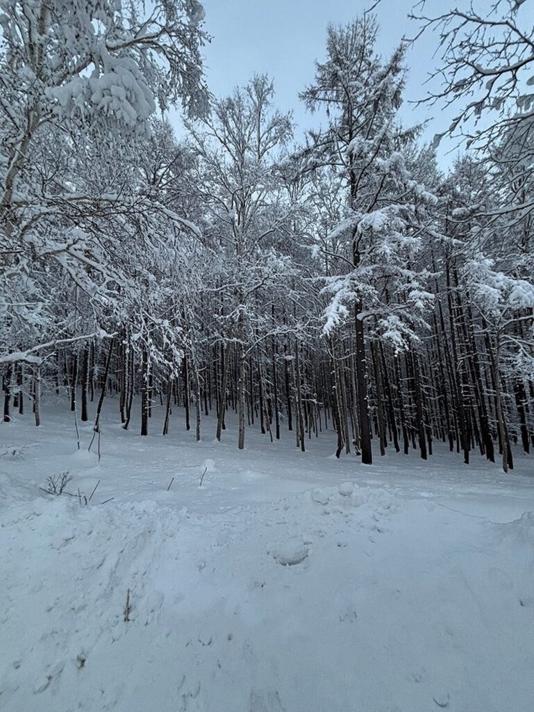 Intuition Niseko Estate Plot L