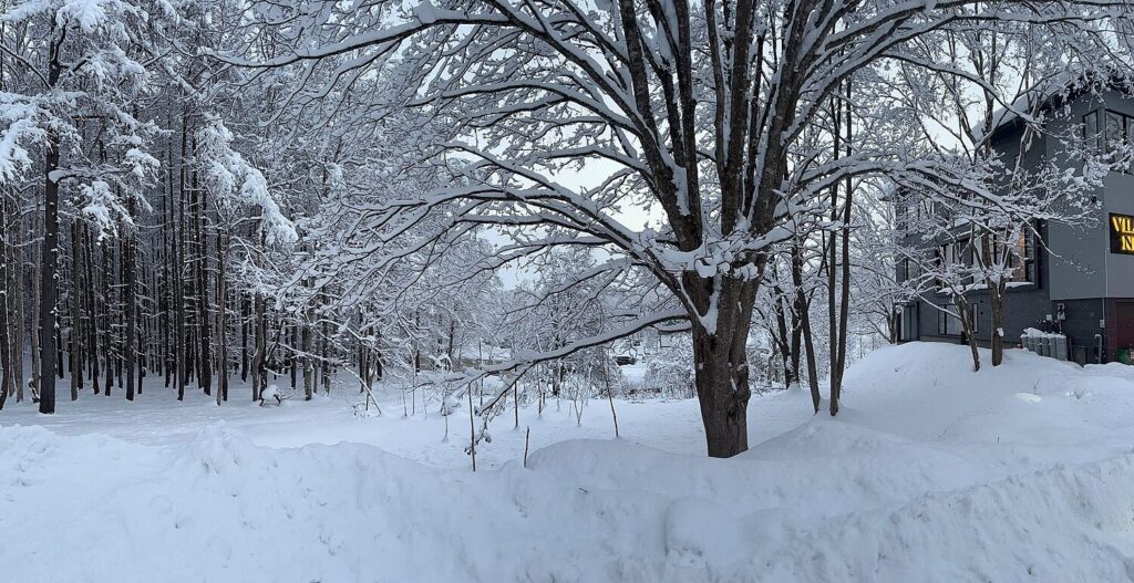 Intuition Niseko Estate Plot L