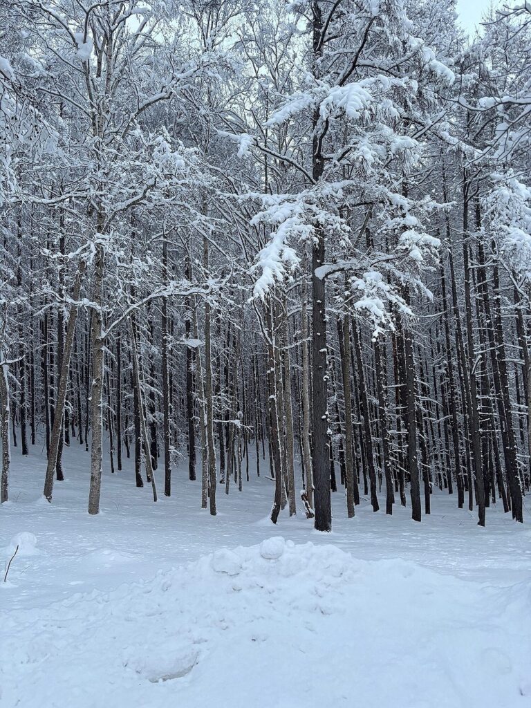 Intuition Niseko Estate Plot L