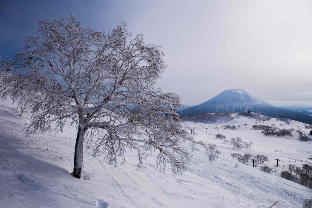 Hanazono niseko ski resort