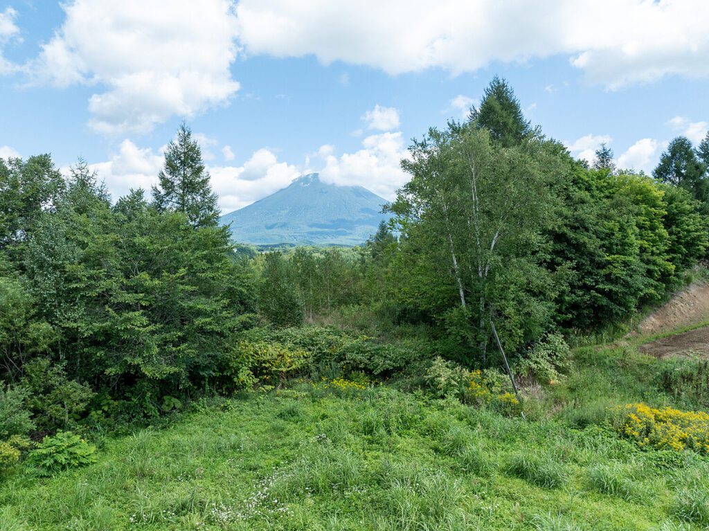 Niseko Views Land