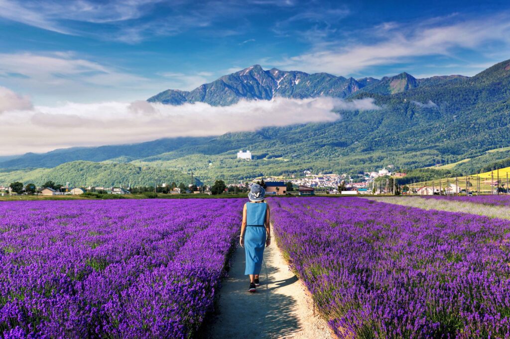 Furano, hokkaido