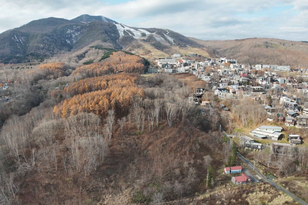 Kabayama land opportunties