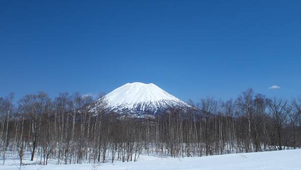 Kutchan Yotei stock1