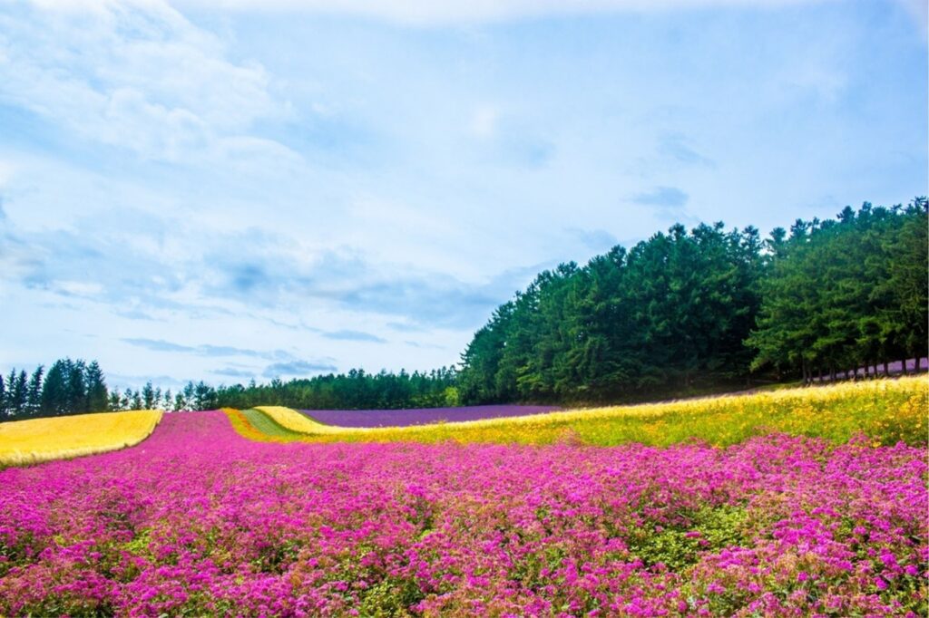Exclusive Land Near Furano Kitanomine Gondola