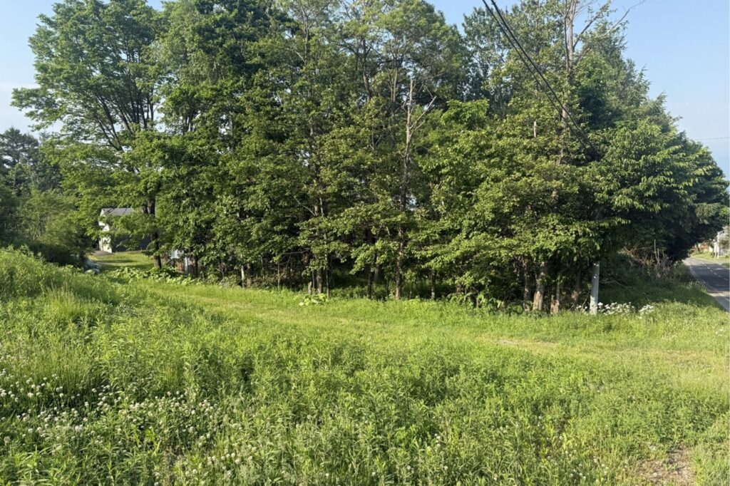 Exceptional Land Plot Meters from Kitanomine Gondola