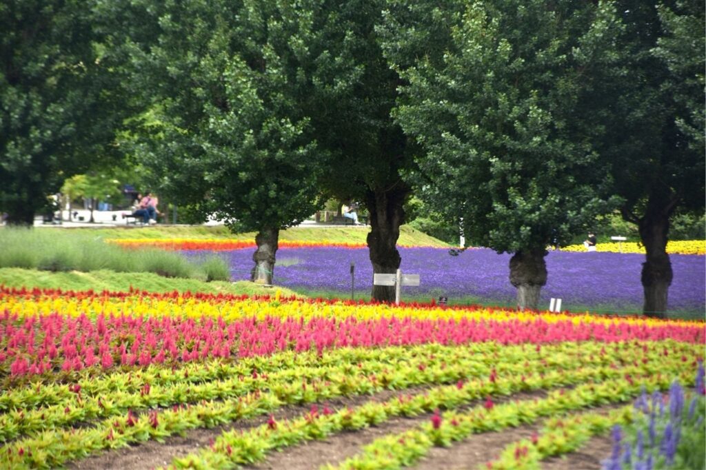 Exclusive Land Near Furano Kitanomine Gondola