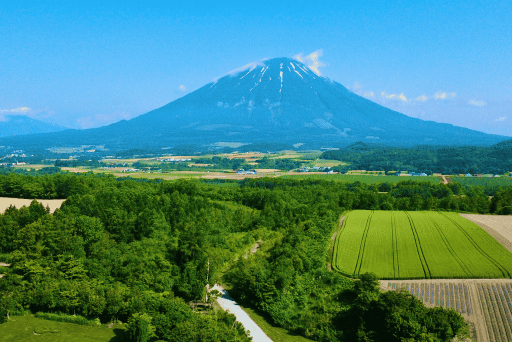 Rusutsu Block A Yotei view