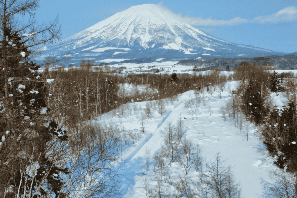 Rusutsu Block A winter aerial shot