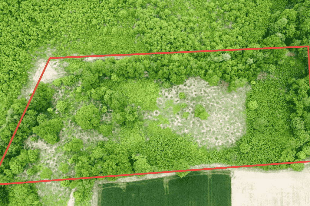 Rusutsu Land Block B Aerial shot