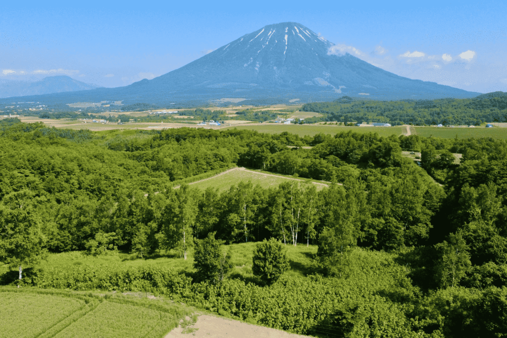 Rusutsu Block B Yotei view