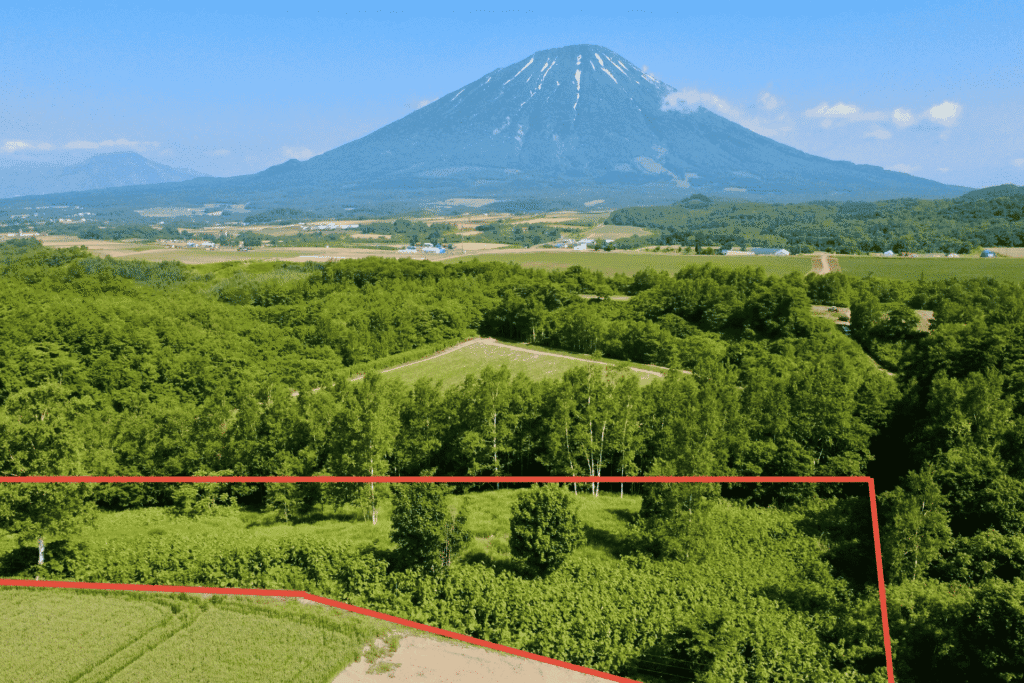 Rusutsu Land Block B Aerial shot