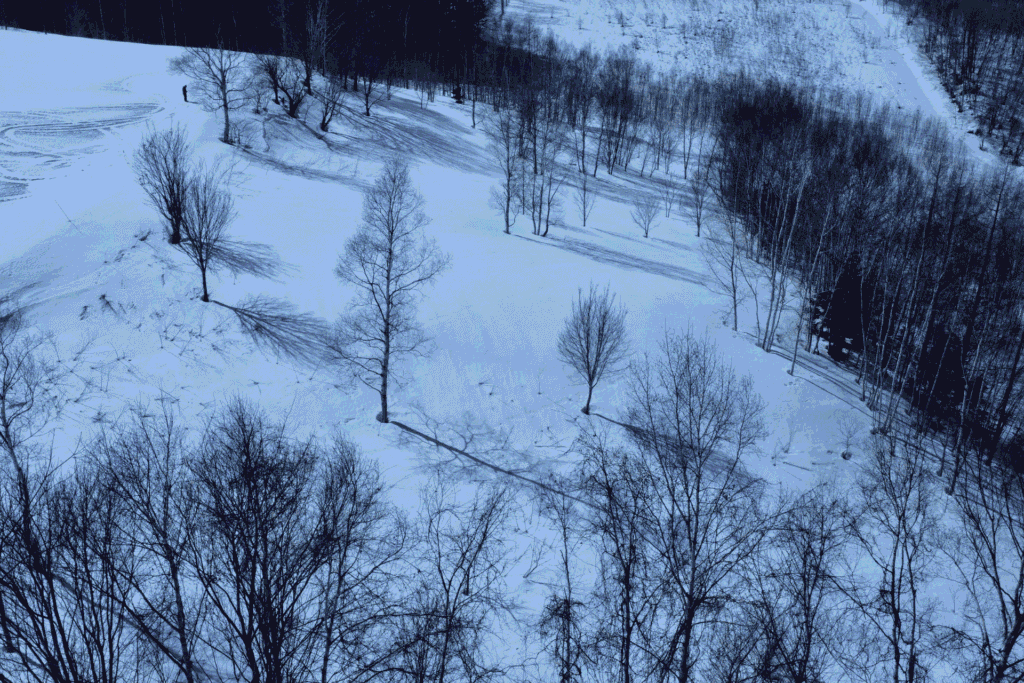 Rusutsu Land Block B winter Aerial shot