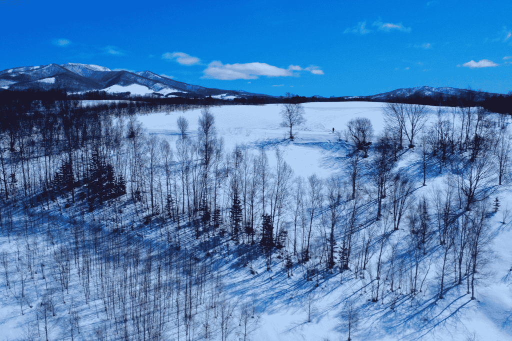 Rusutsu Land Block B winter Aerial shot