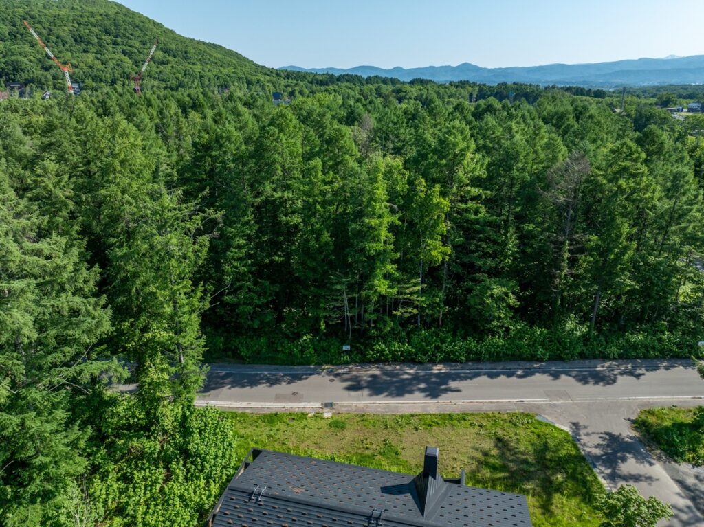 Ginto Hirafu Plot 85