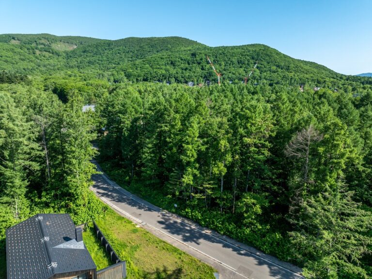 Ginto Hirafu Plot 85