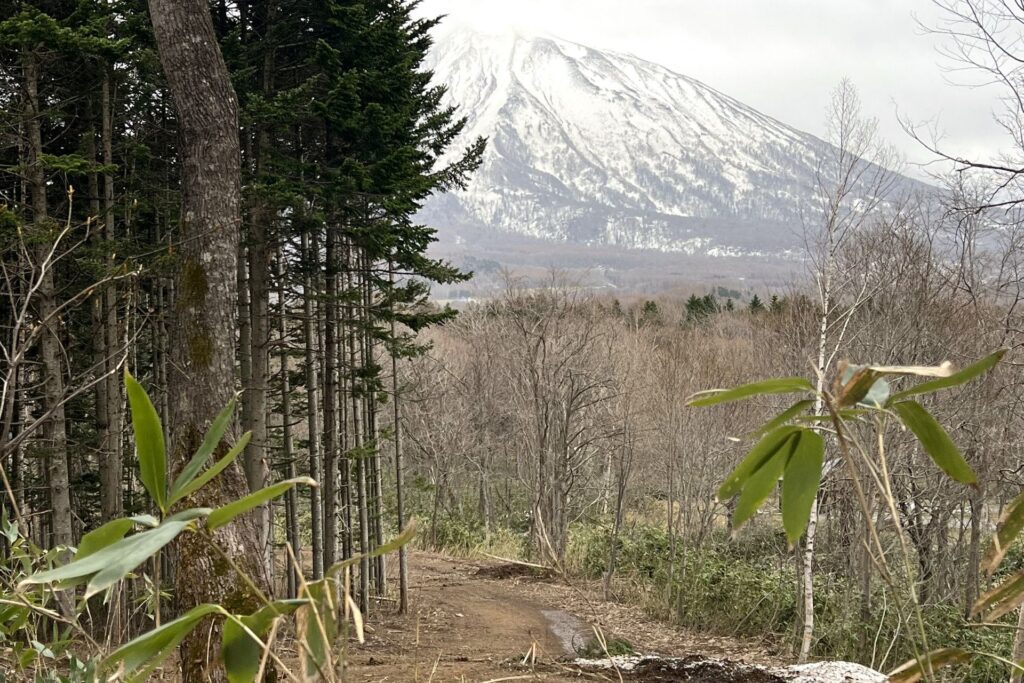 Yamada