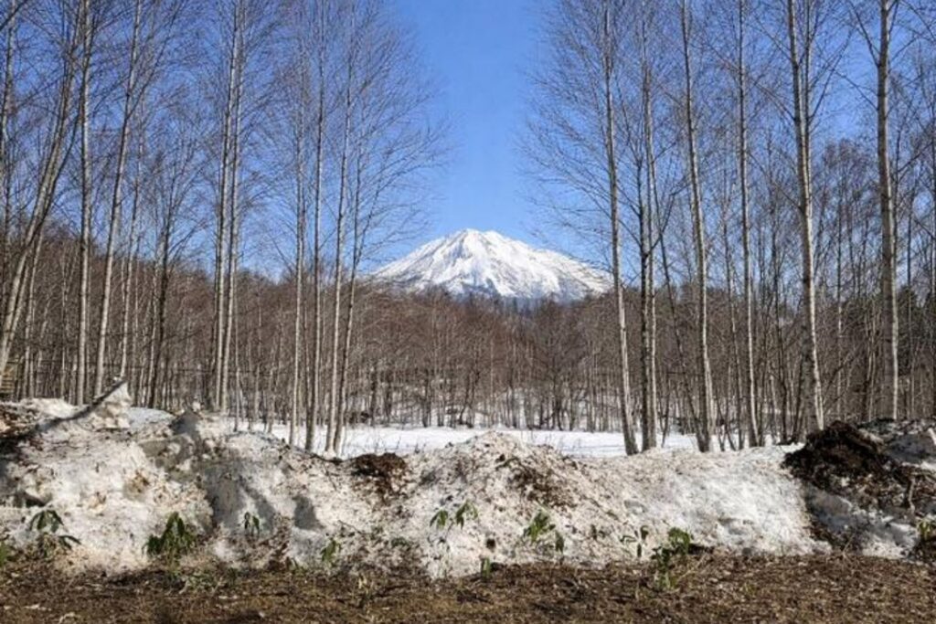 Yamada