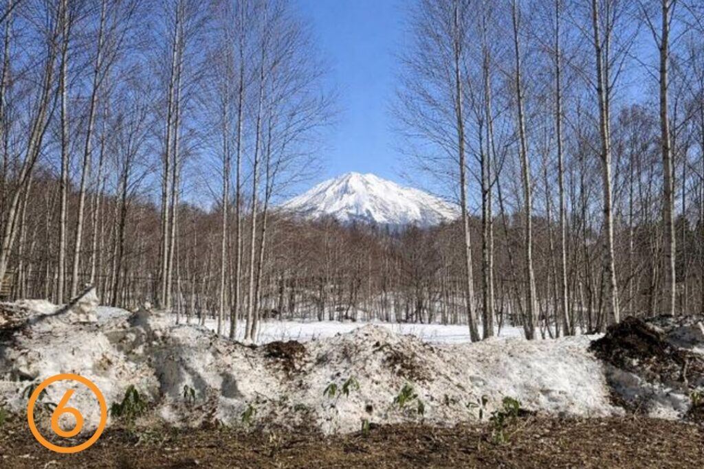 Yamada 6